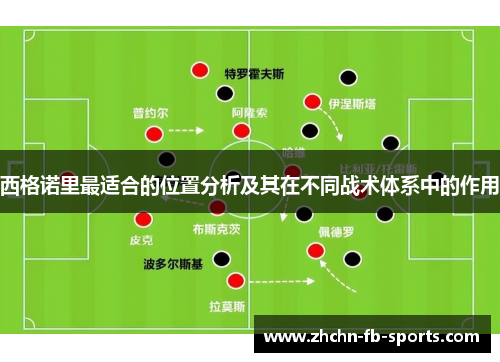 西格诺里最适合的位置分析及其在不同战术体系中的作用