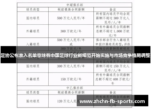 足协公布准入名单意味着中国足球行业新规范开始实施与市场竞争格局调整