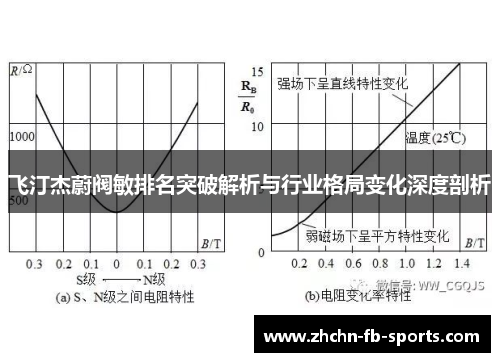 飞汀杰蔚阀敏排名突破解析与行业格局变化深度剖析