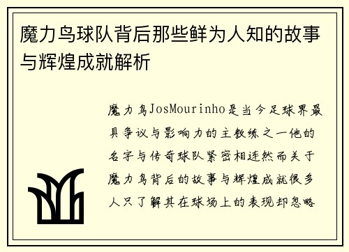 魔力鸟球队背后那些鲜为人知的故事与辉煌成就解析